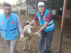 YOLUN İYİLİK OLSUN!